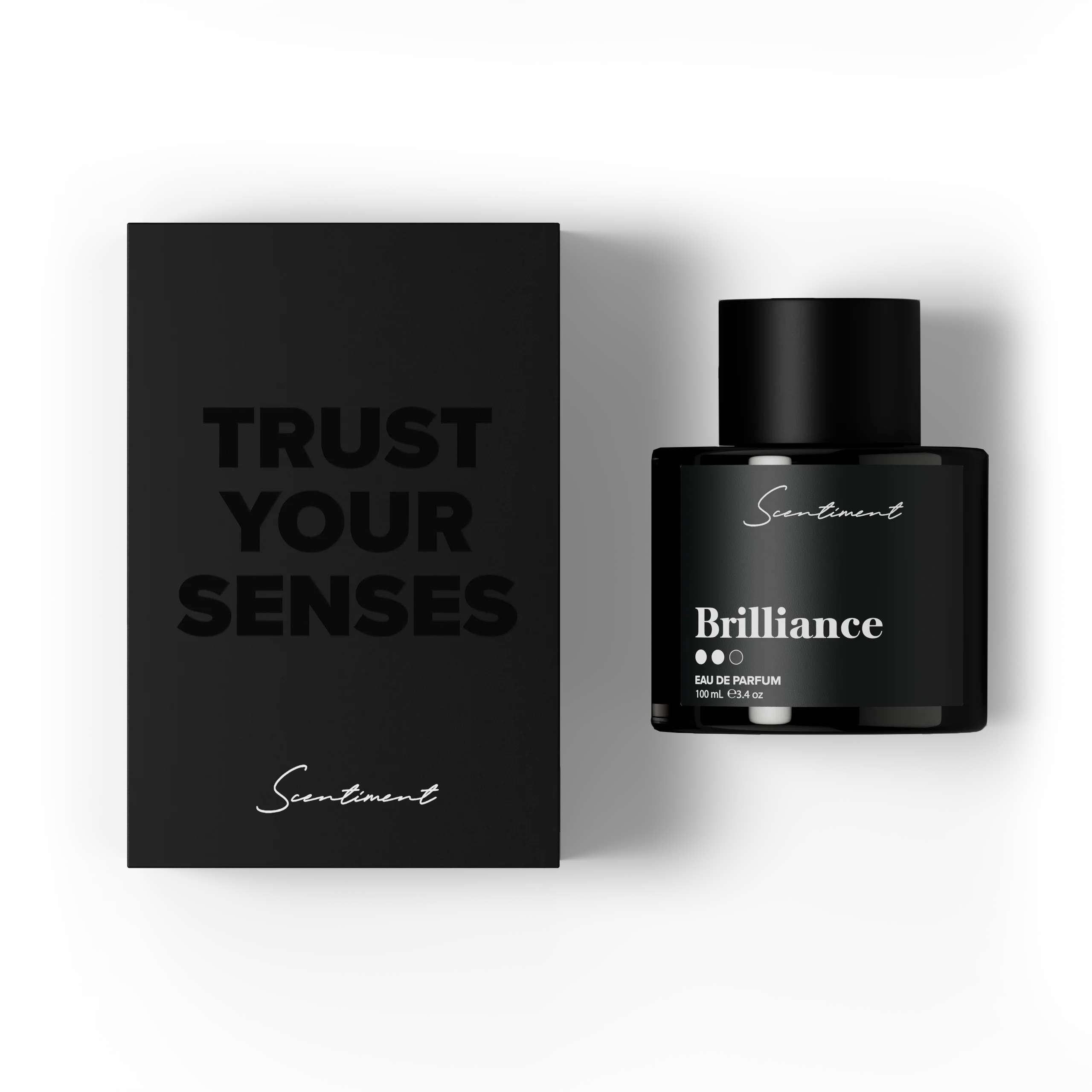 Brilliance - Image 4