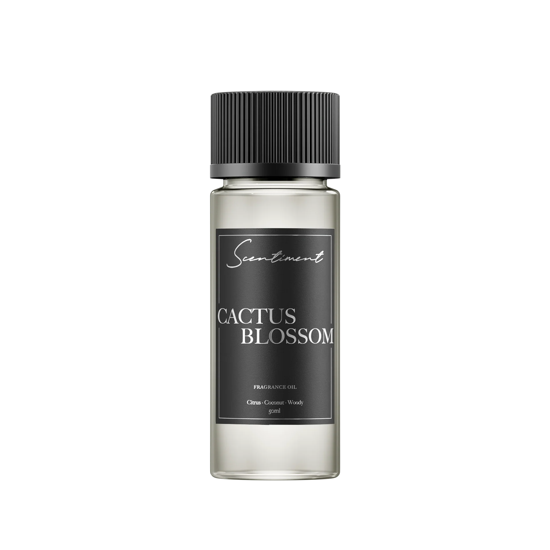 Cactus Blossom - Image 3