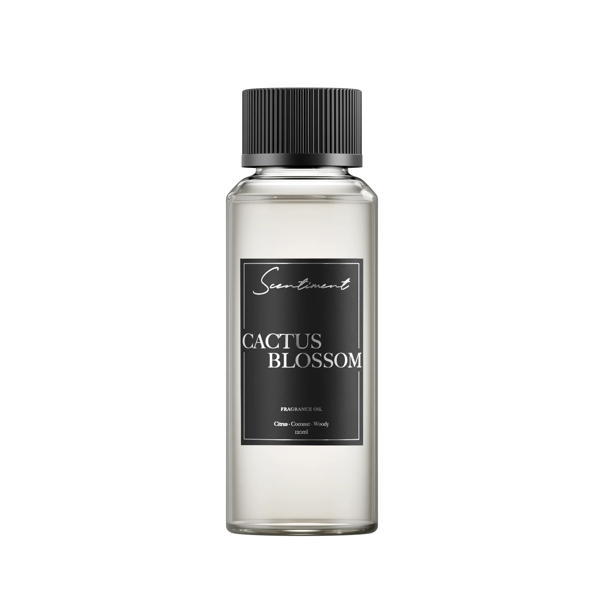 Cactus Blossom - Image 4