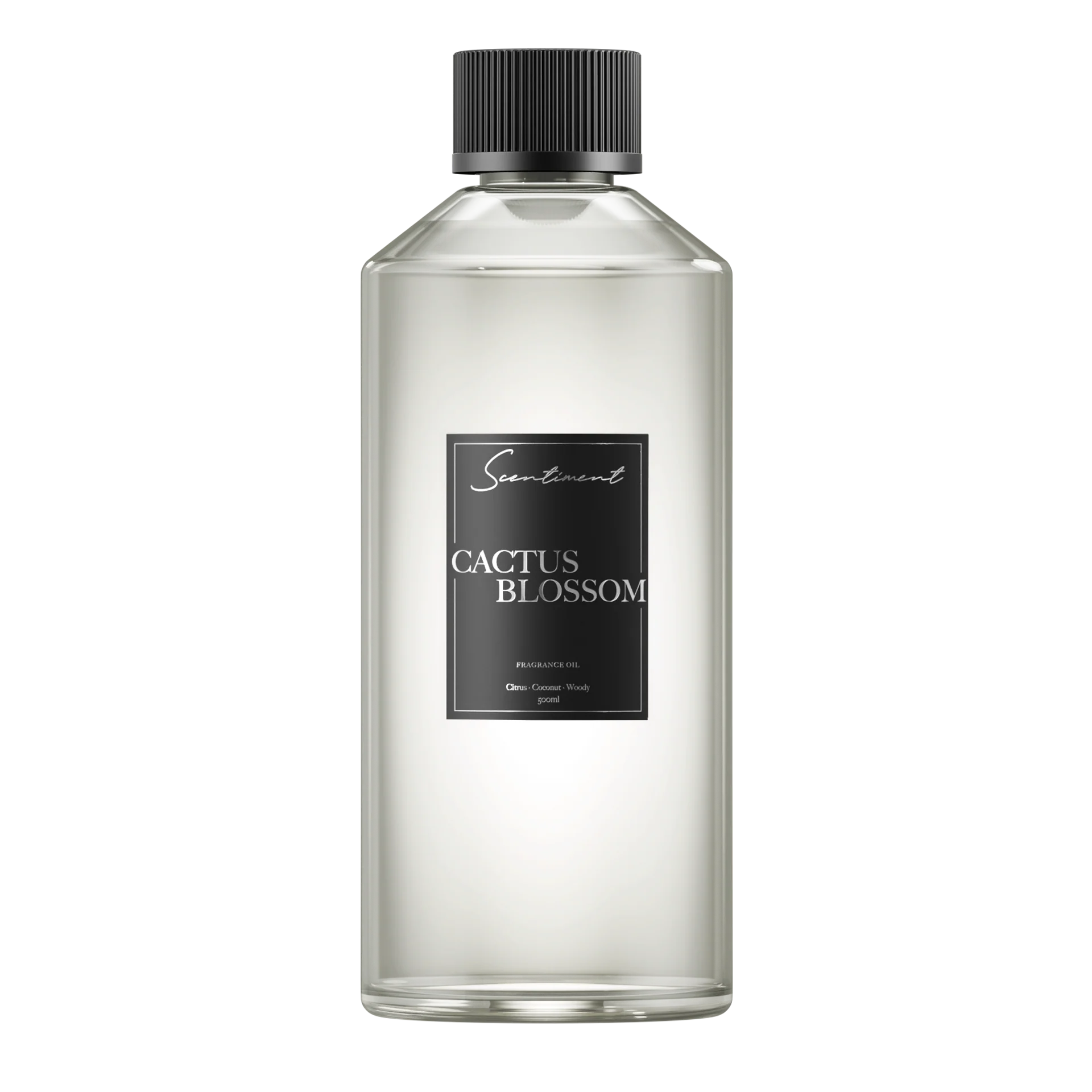 Cactus Blossom - Image 5