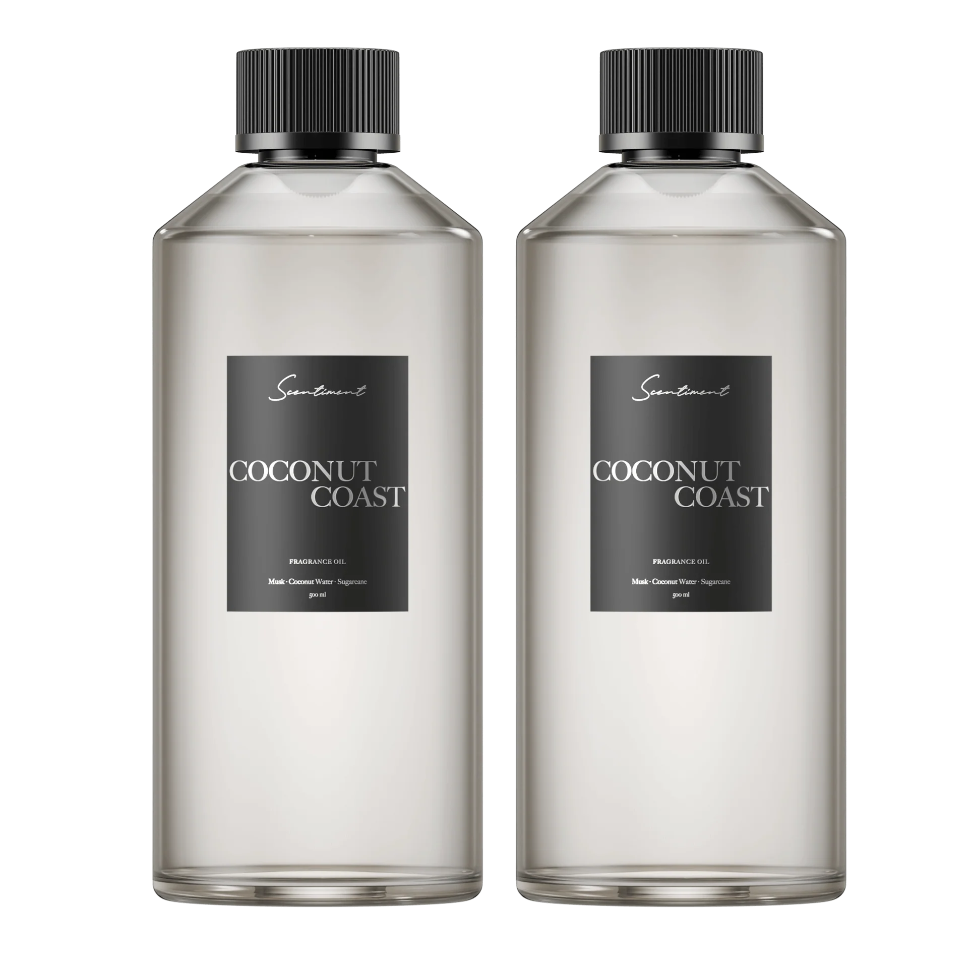 Coconut Coast - Image 6