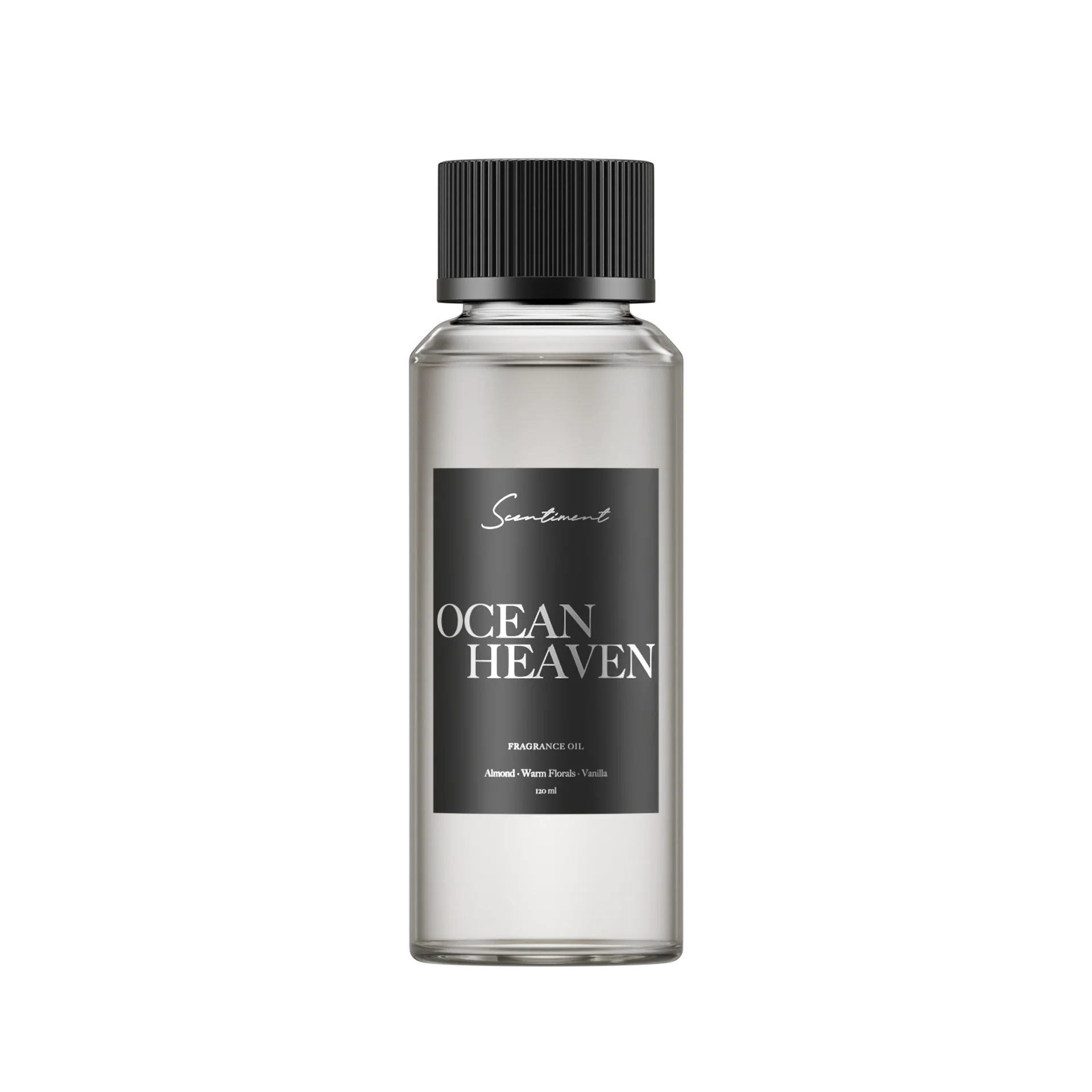 Ocean Heaven - Image 4